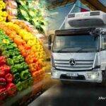 دغدغه اصلی شرکت های پخش